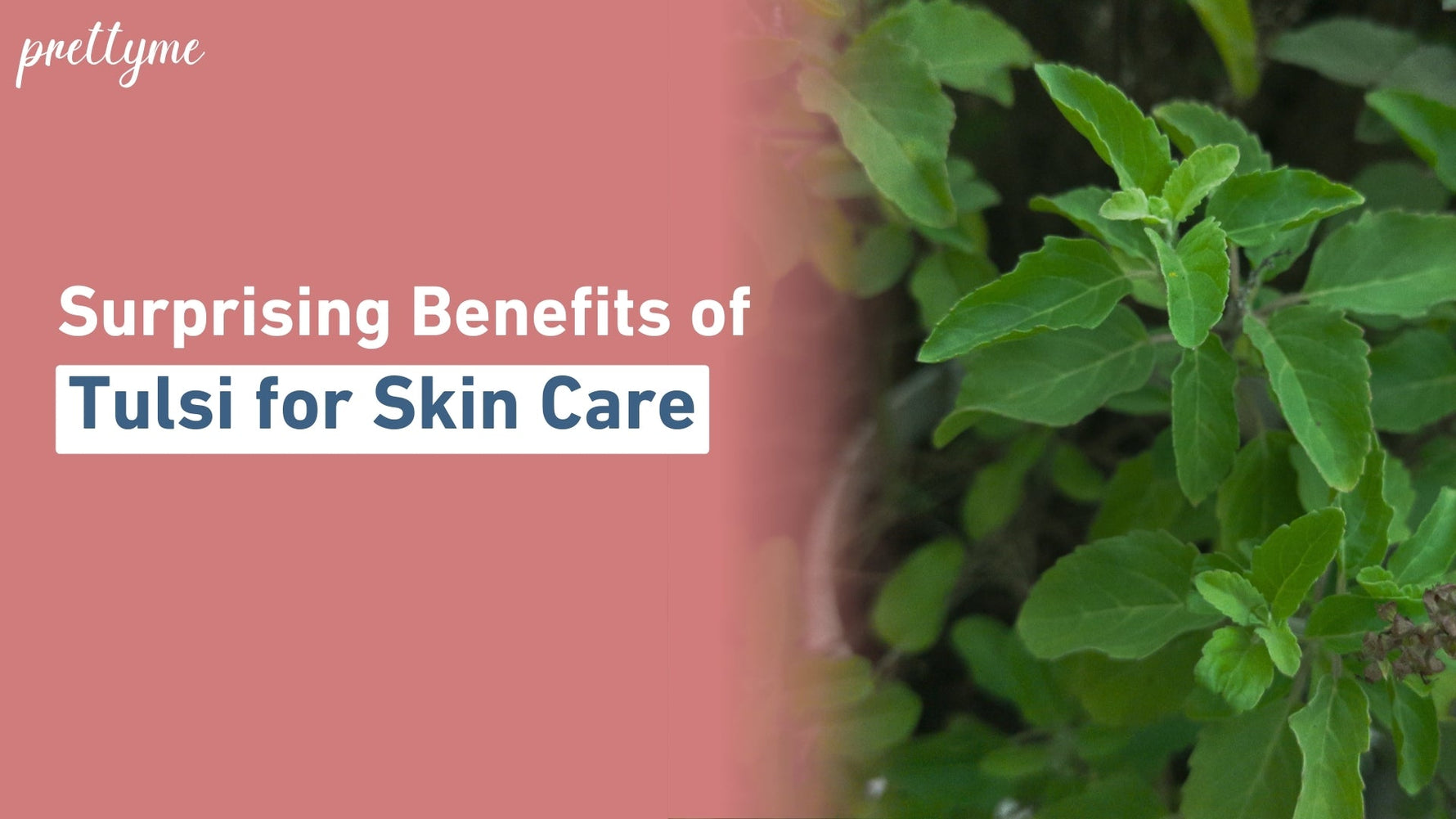 Exploring the Surprising Benefits of Tulsi for Skin Care