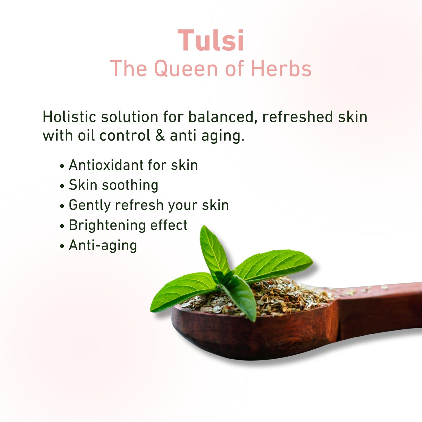 night face cream for anti ageing, glowing skin, skin repair, barrier protection & hydration, tulsi image