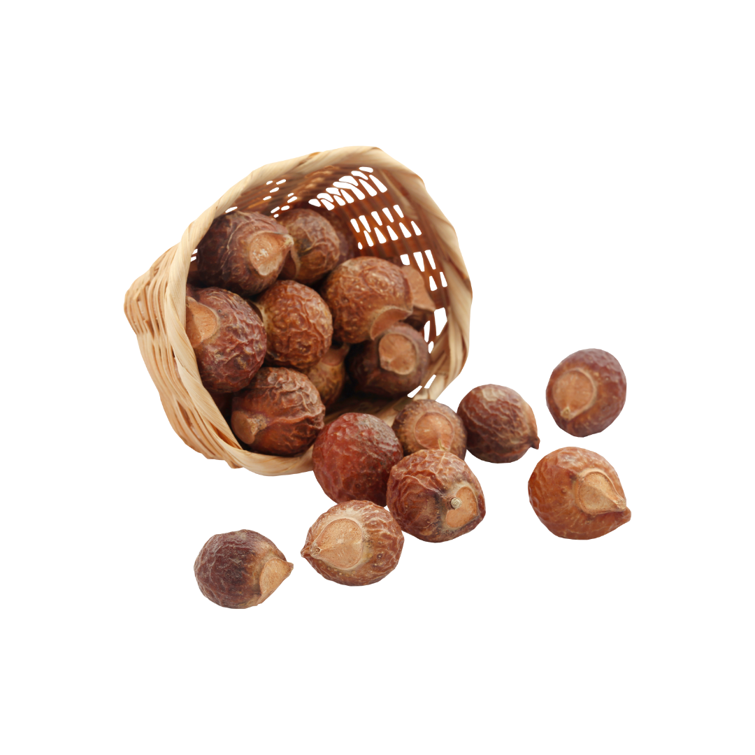 soapnut